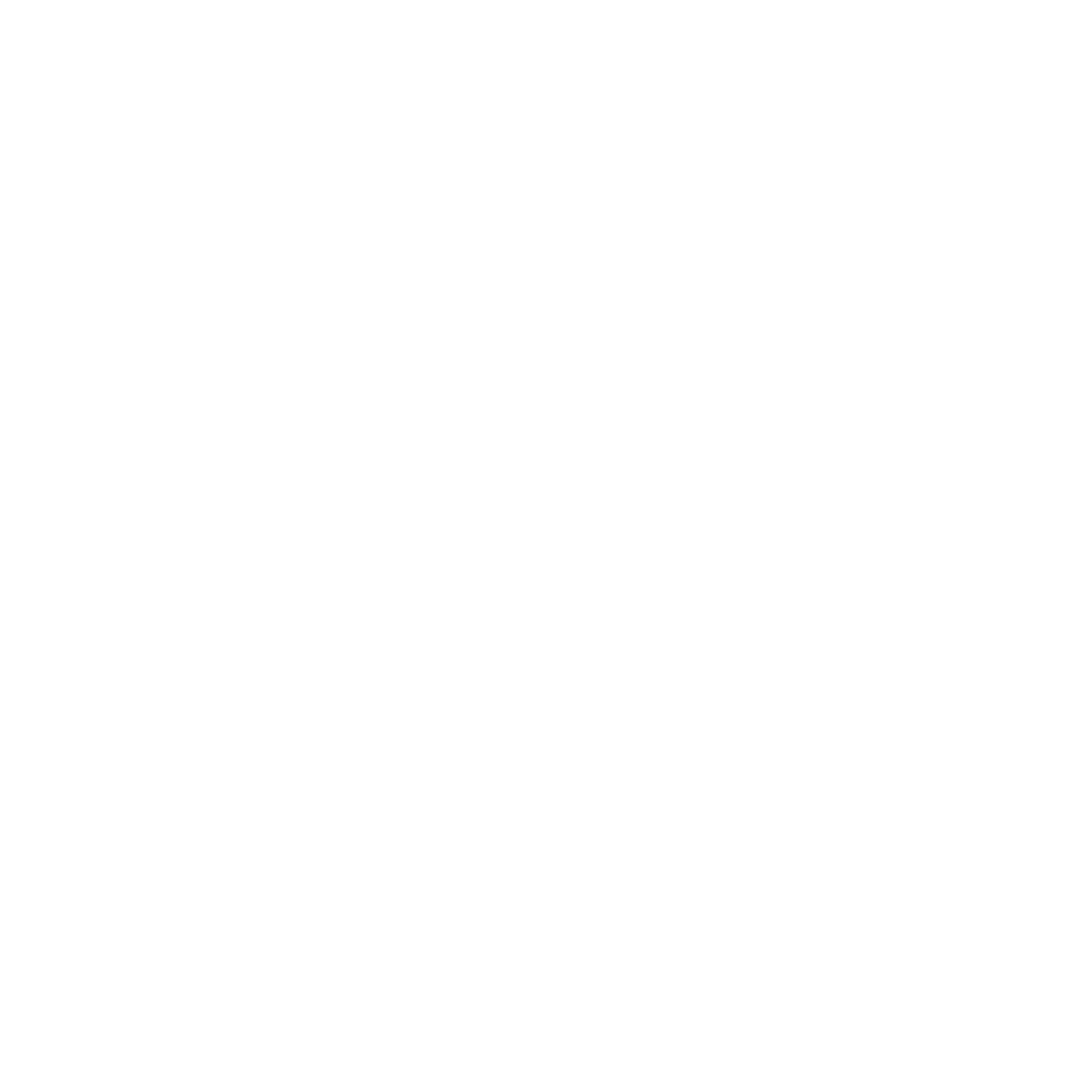 Wordpress agentur idea